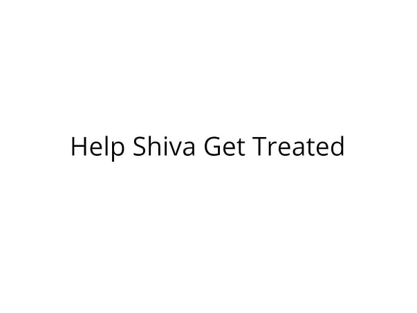 Help Shiva Recover from Severe Injuries