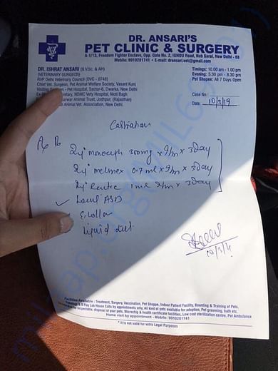 neutering surgeries.