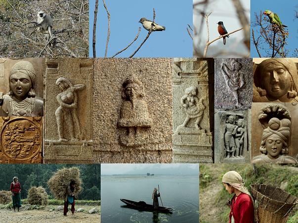Creating Video History/ Documentation of Indian Culture