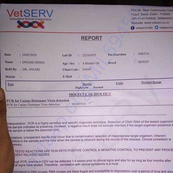 Medical Report