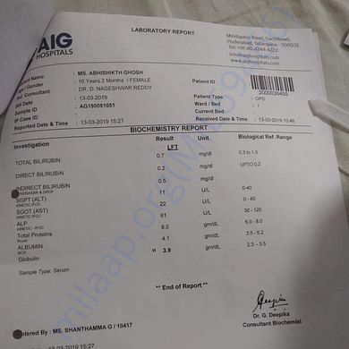 Medical Report