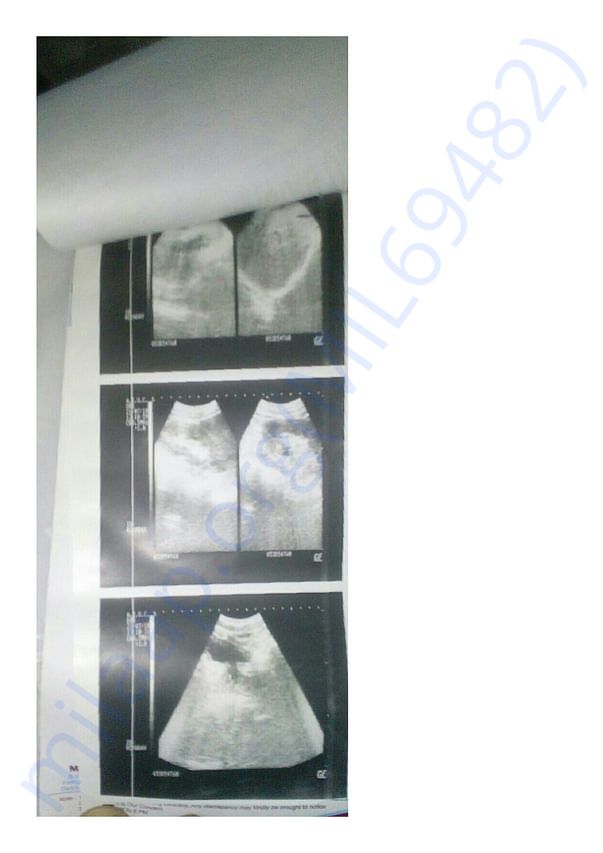 Medical Report
