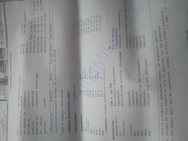Report