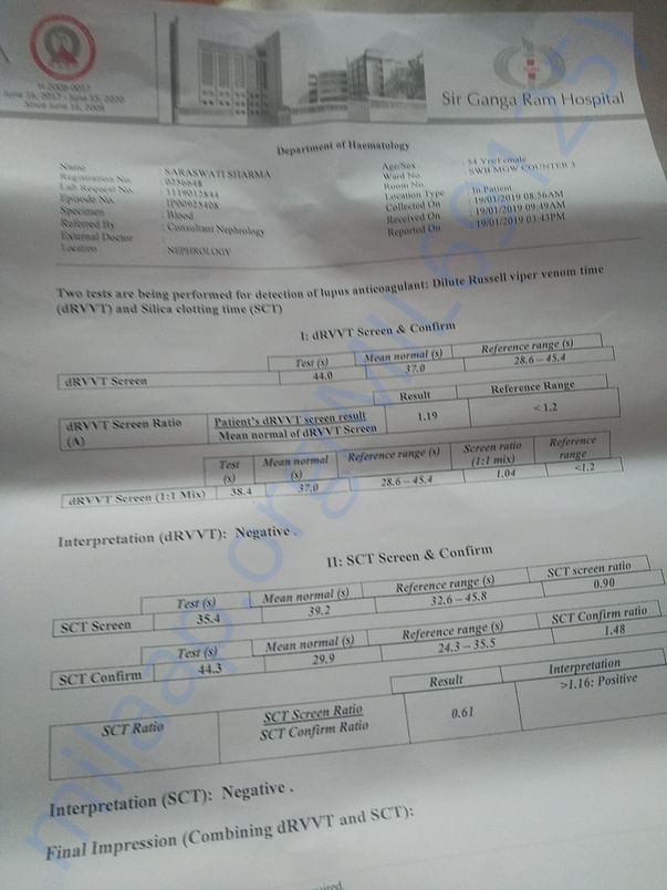 Report