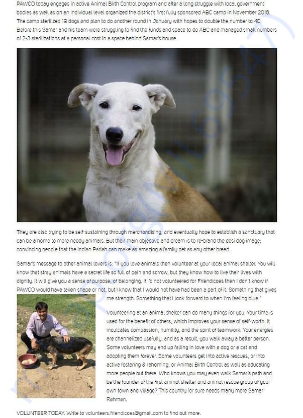 Appreciation by Friendicoes, animal shelter New Delhi