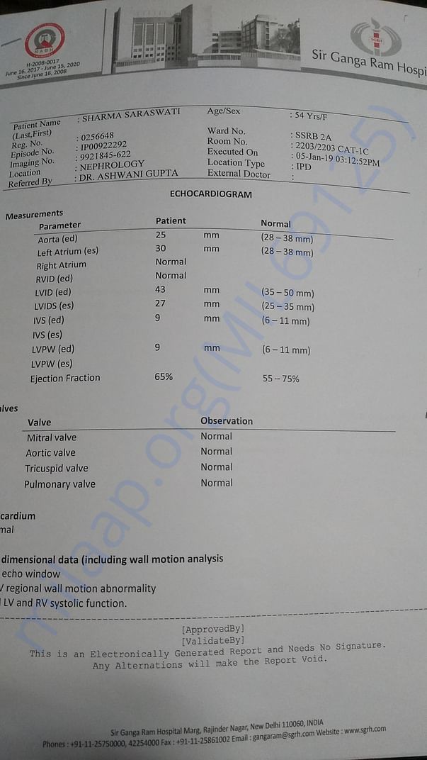 Report