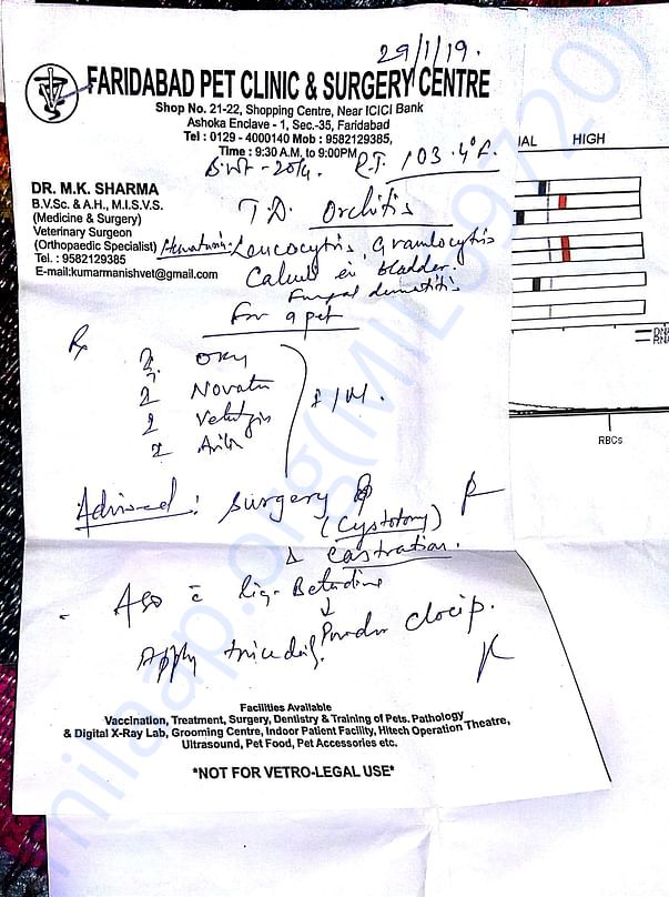 The report which says it all
