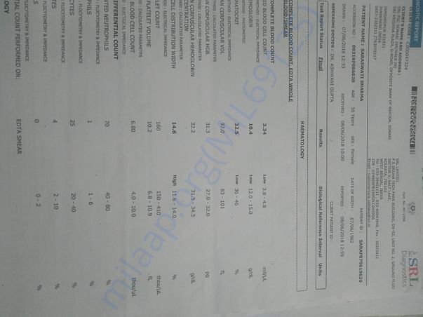 Report