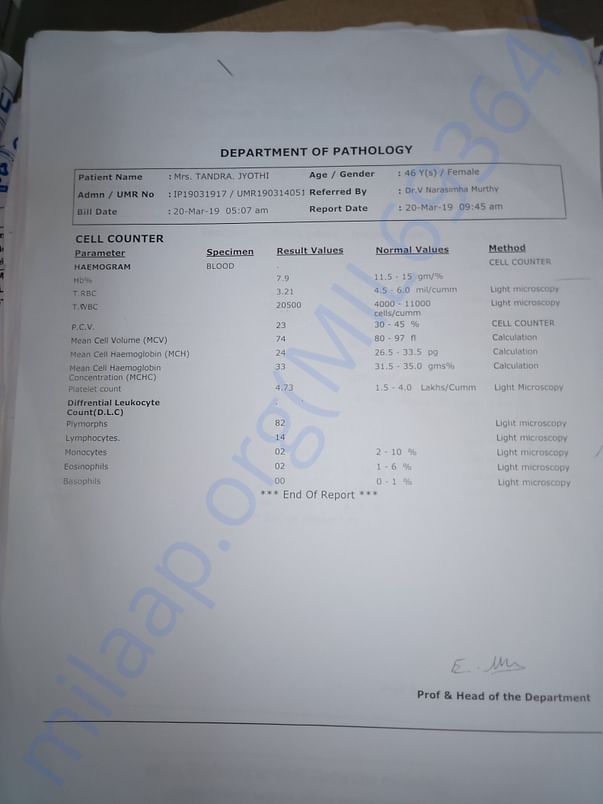 latest lab report: still wbc count not decreased.. no improvement