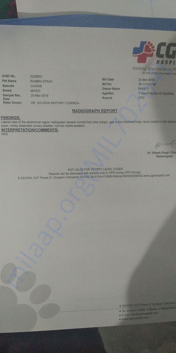 X-ray report