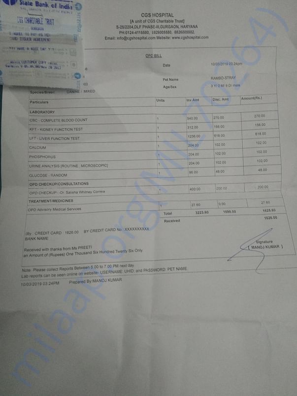 Blood test receipt