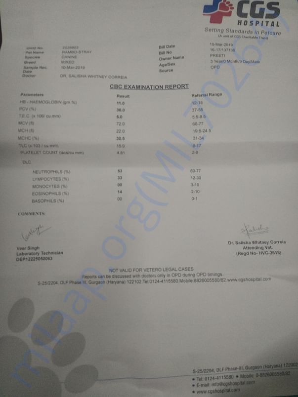 Blood report pg 1