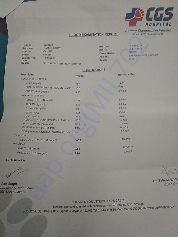 Blood report pg 2