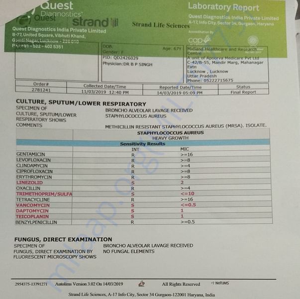 Medical Report