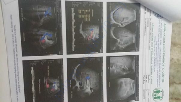 Liver Reports