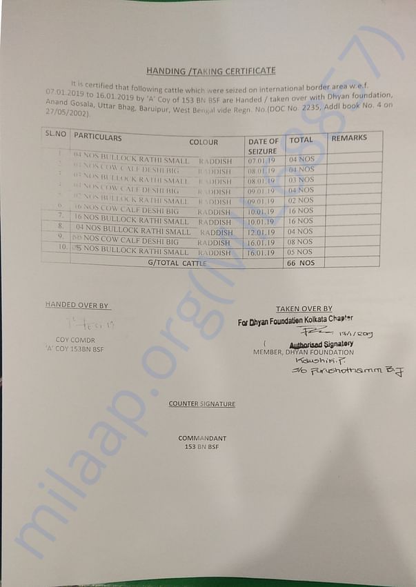 Cattle Handover Document
