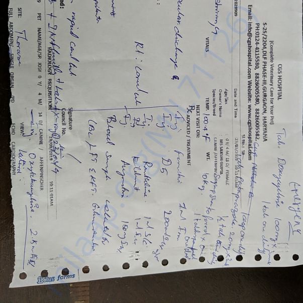 Medical Report