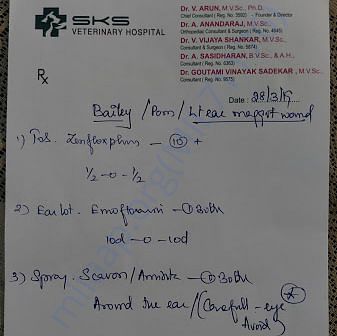 Medical Report