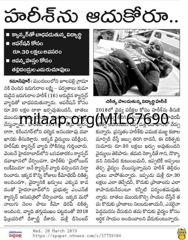 Professional cheap essay editing service for school dm harish research paper competition