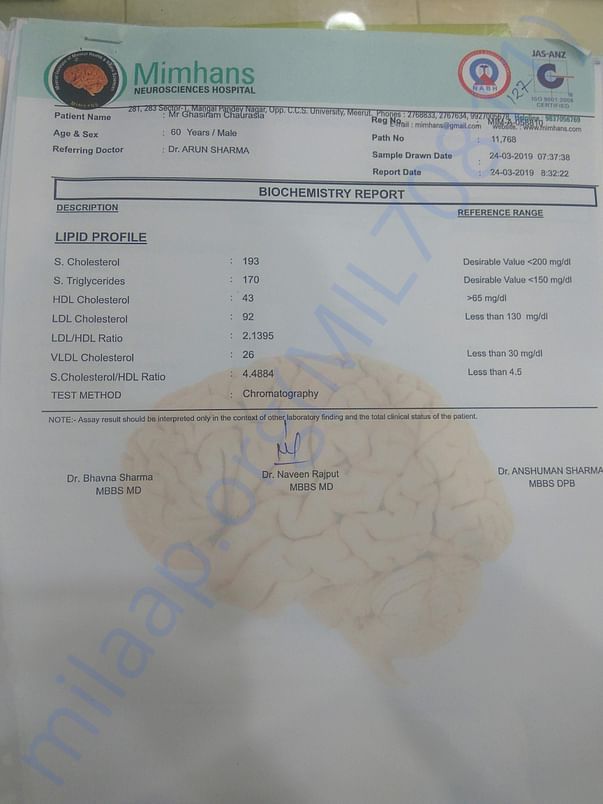 test report
