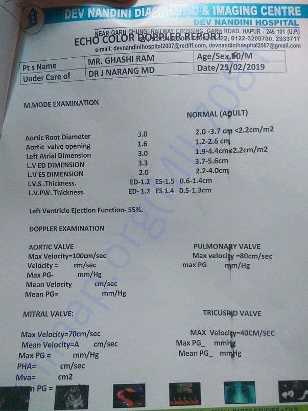 test report