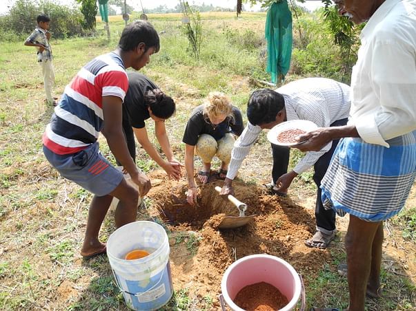 Planting trees