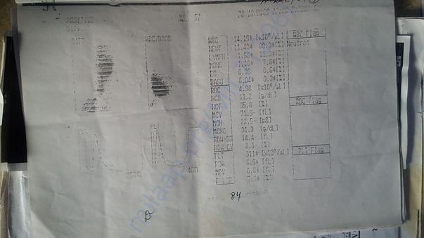 Diagnosed report