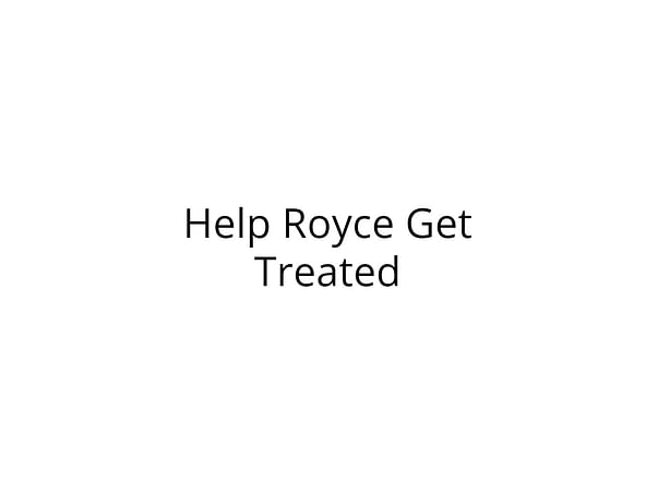 Help Royce Undergo Bone Marrow Transplant