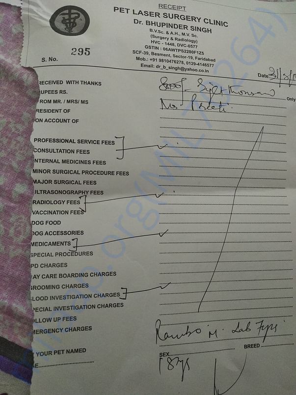 Rambo's vet visit and test receipt