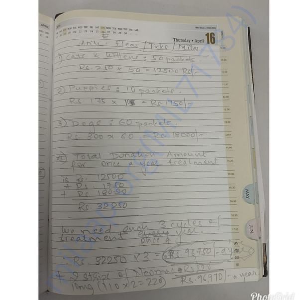 Estimation Letter
