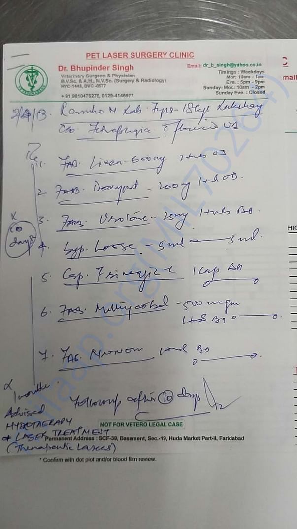 Latest prescription by vet