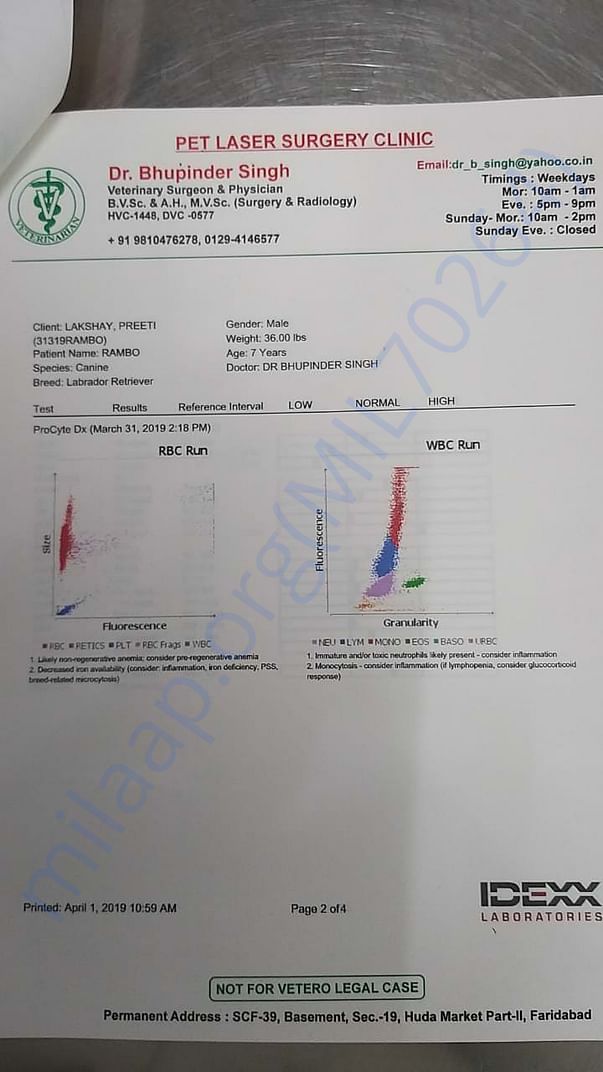 Latest report page2
