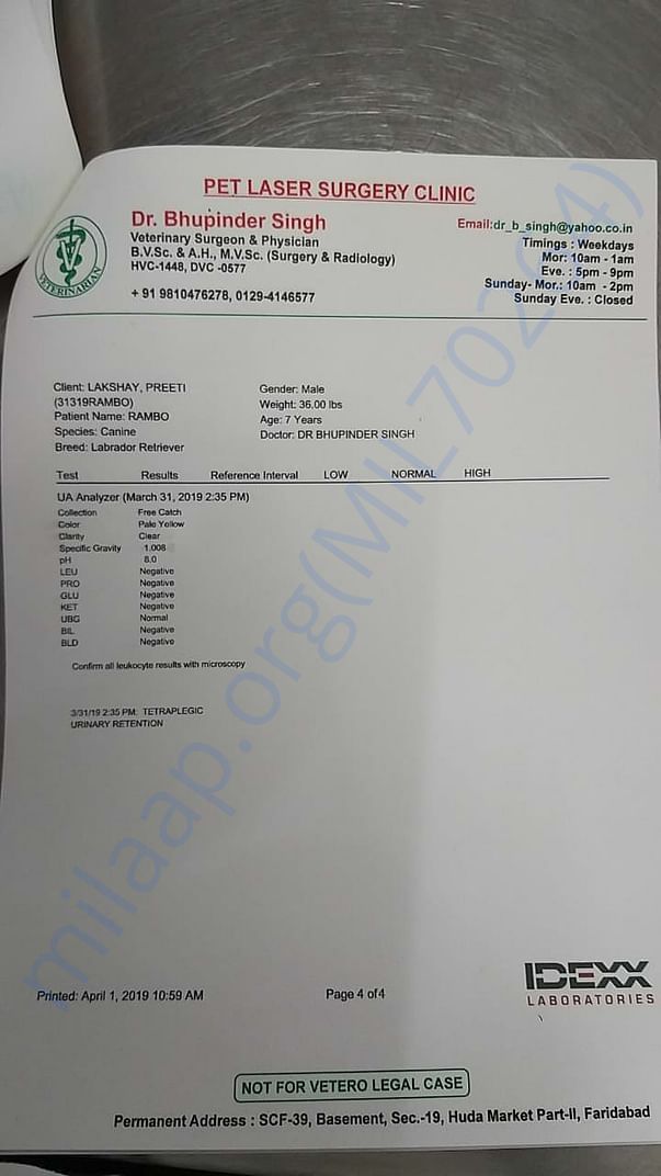 Latest report page 4