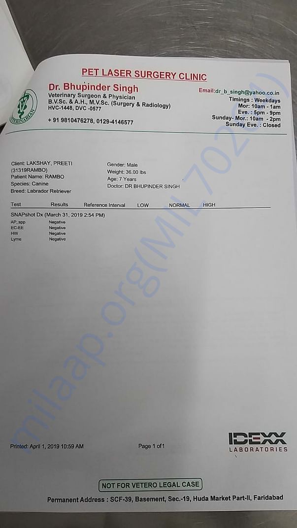 Latest report page 5