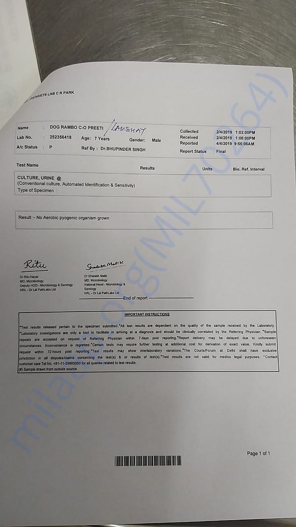 Latest report page 6