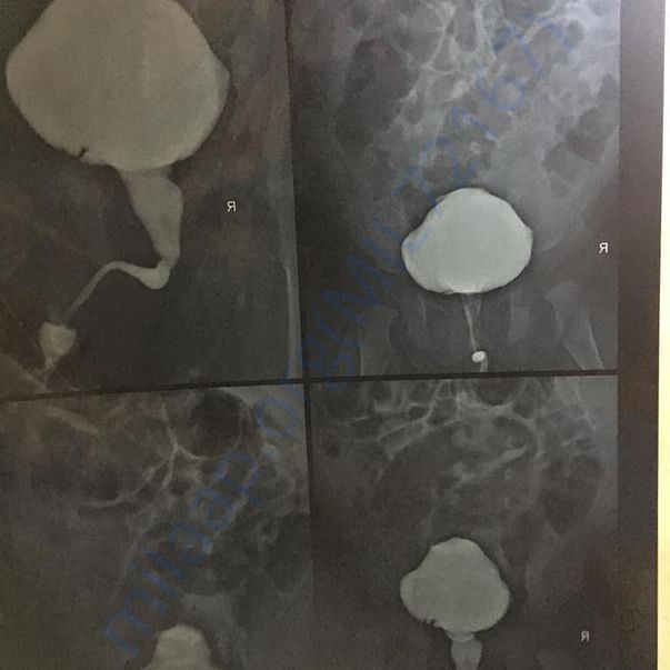 Medical Report