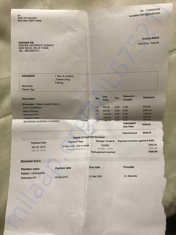 Bill 4