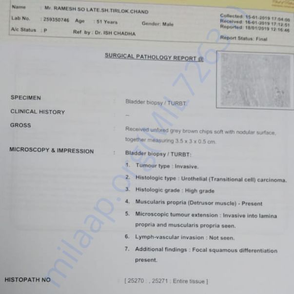 Medical Report