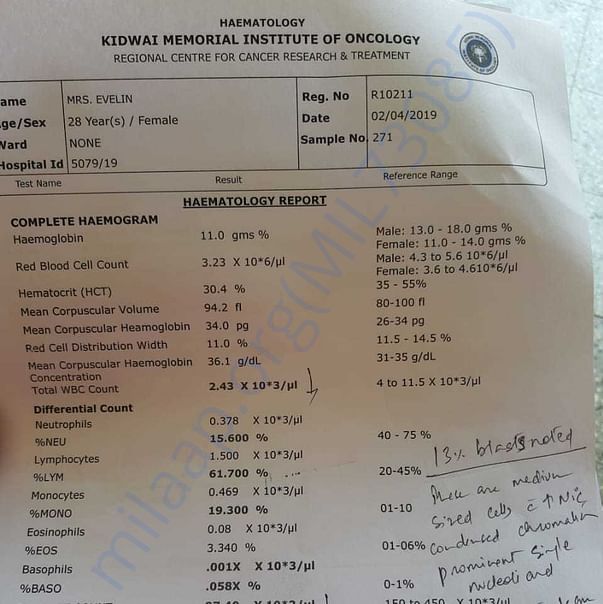 Medical Report