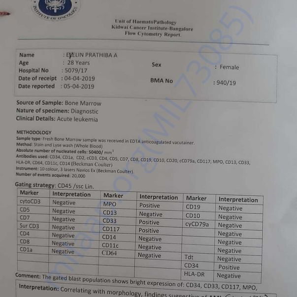 Medical Report