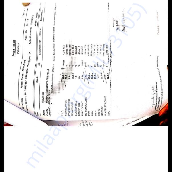 Medical Report