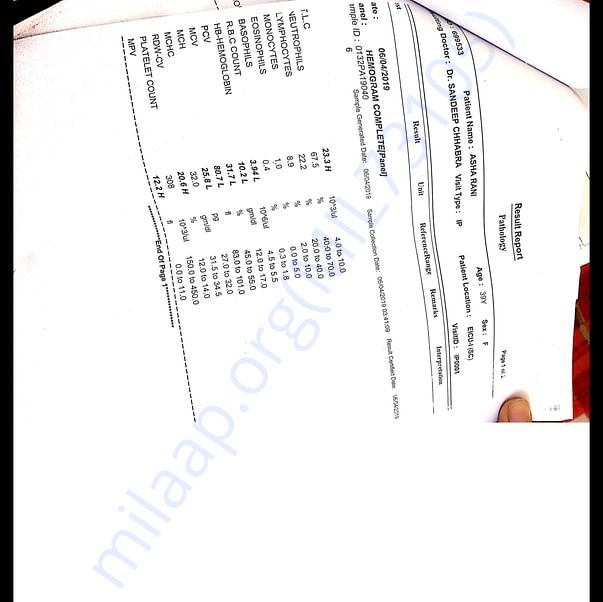 Medical Report
