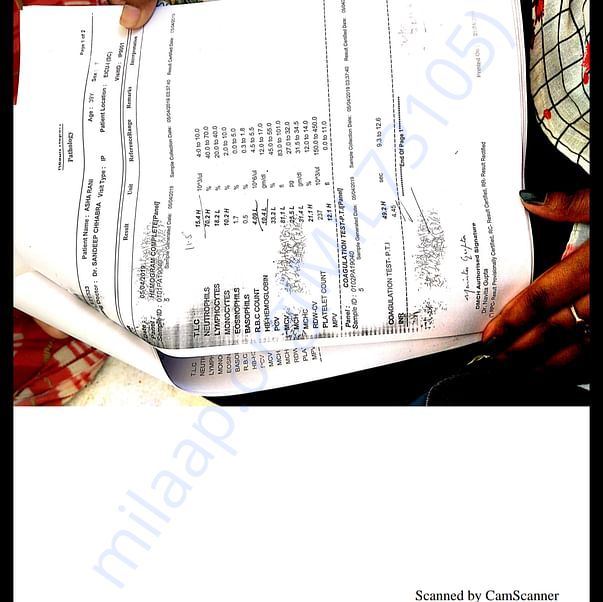 Medical Report