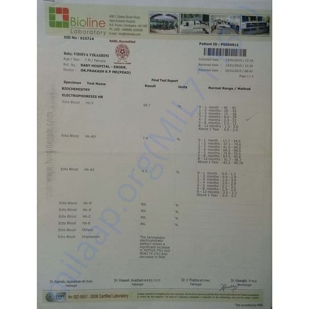 Medical Report