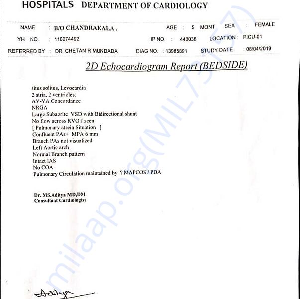 Medical Report