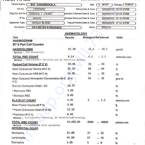 Medical Report