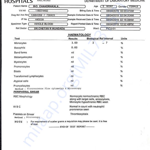 Medical Report