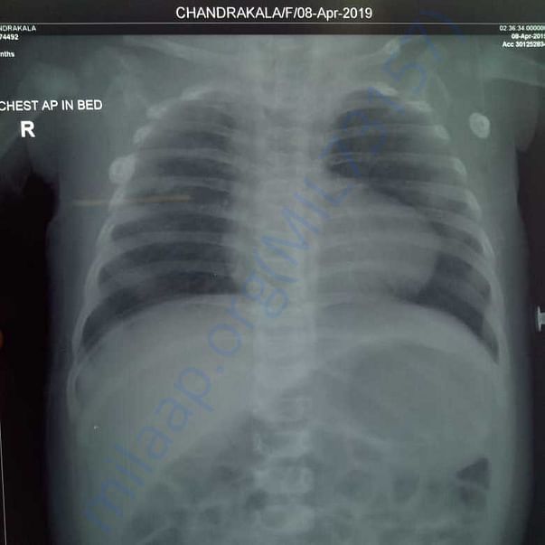 Medical Report