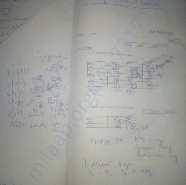 Medical Report