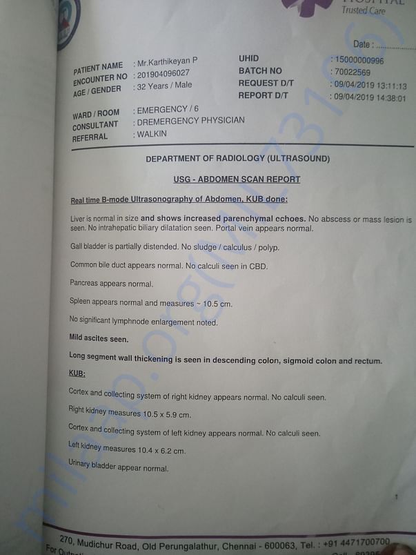 Us abdomen scan report
